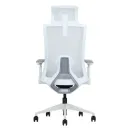 SKILLCHAIRS ERGO RIVIERA Blanc