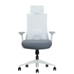 SKILLCHAIRS ERGO RIVIERA Blanc - Chaise Ergonomique