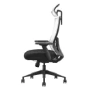 SKILLCHAIRS ERGO RIVIERA Noir