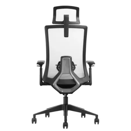SKILLCHAIRS ERGO RIVIERA Noir