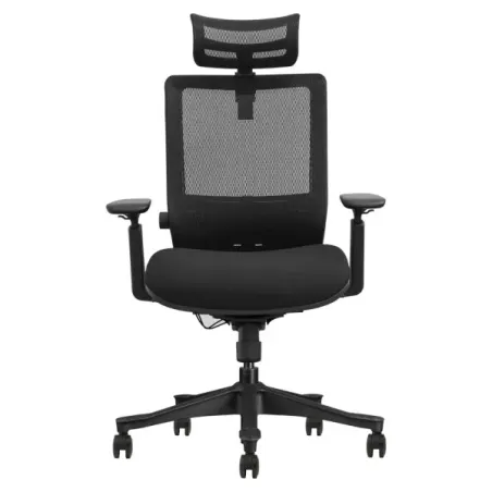 SKILLCHAIRS ERGO AURORA - Chaise Ergonomique