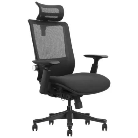 SKILLCHAIRS ERGO AURORA