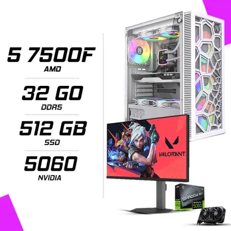 PC Gamer AMD Ryzen 5 7500F MSI RTX 5060 8G + NOVA PRO TITAN N25300 24.5" 300Hz