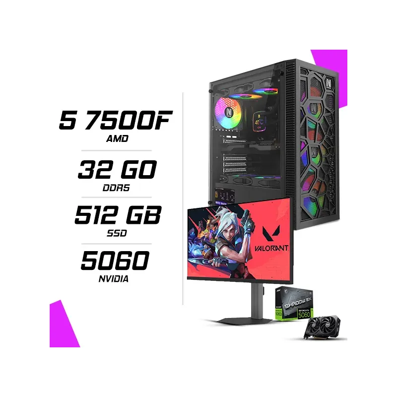 PC Gamer AMD Ryzen 7500F MSI RTX 5060 8G NOVA PRO TITAN N25300
