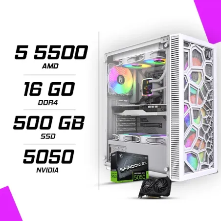 PC Gamer AMD Ryzen 5 5500 MSI RTX 5050 8G