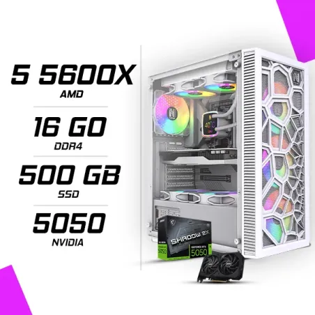 PC Gamer AMD Ryzen 5 5600X MSI RTX 5050 8G