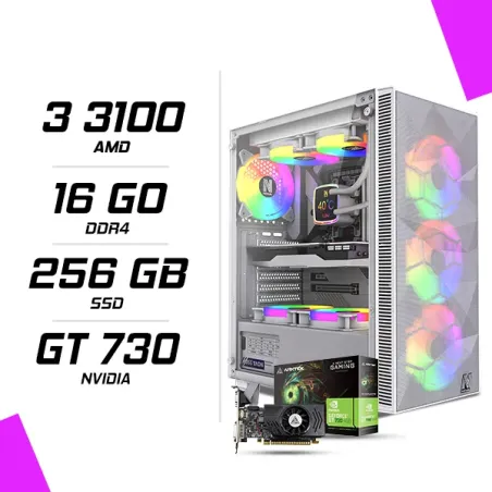 PC Gamer AMD Ryzen 3 3100 GT730 4G