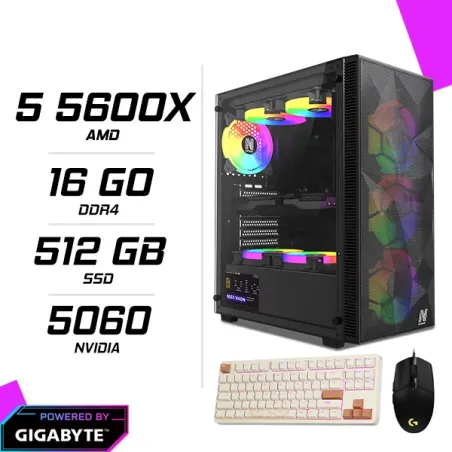 PC Gamer Ryzen 5 5600X RTX 5060 8G + LOGITECH G102 + GM87 TKL RGB