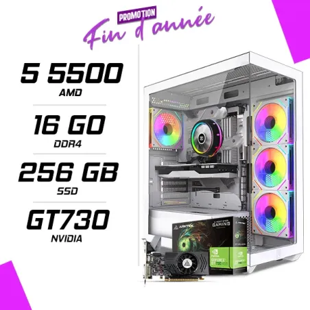 PC Gamer AMD Ryzen 5 5500 GT730 4GB