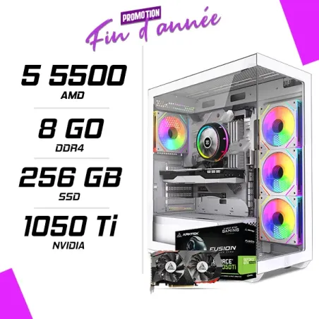 PC Gamer AMD Ryzen 5 5500 GTX 1050 Ti 4GB