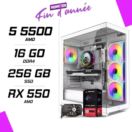 PC Gamer AMD Ryzen 5 5500 RX 550 4GB