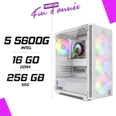 PC Gamer AMD Ryzen 5 5600G