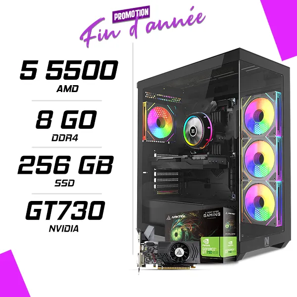 PC Gamer AMD Ryzen 5 5500 GT730 4GB