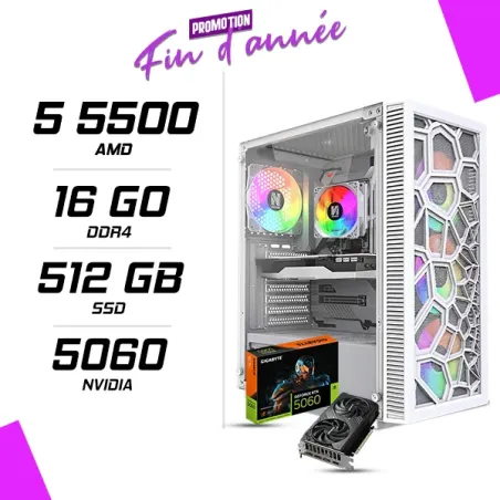 PC Gamer AMD Ryzen 5 5500 RTX 5060 8G