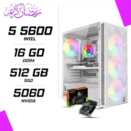 PC Gamer AMD Ryzen 5 5600 RTX 5060 8G