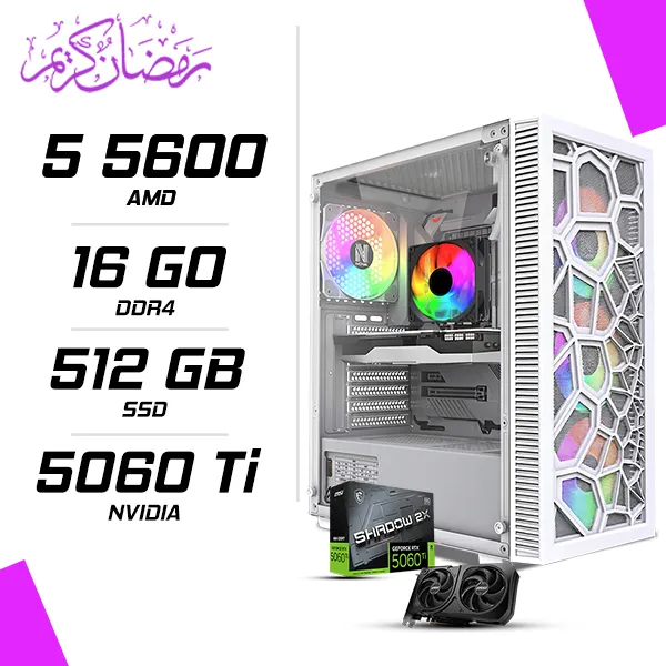 PC Gamer AMD Ryzen 5 5600 MSI RTX 5060 Ti 8G