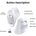 UGREEN SOURIS SANS FIL BLUETOOTH MULTI-MODE VERTICAL Blanc (45759) UGREEN SOURIS SANS FIL BLUETOOTH MULTI-MODE VERTICAL Blanc (45759)