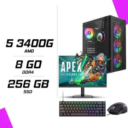 PC Gamer AMD Ryzen 5 3400G + HYBROK HP24IFL120 24 120Hz + ESG M2 Flash + NOVA CP68