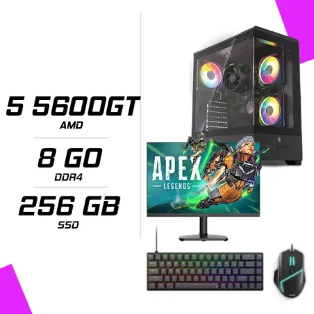 PC Gamer AMD Ryzen 5 5600GT + HYBROK HP24IFL120 24" 120Hz + ESG M2 Flash + NOVA CP68