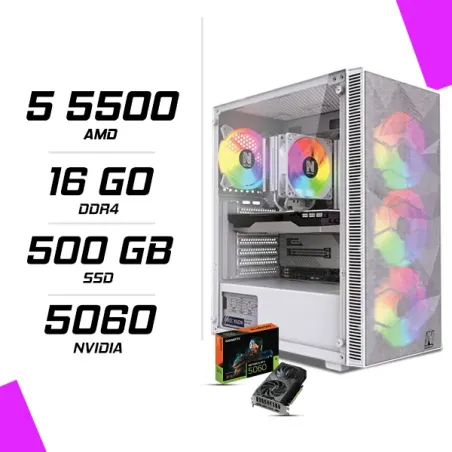 PC Gamer AMD Ryzen 5 5500 RTX 5060 8G