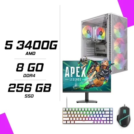 PC Gamer AMD Ryzen 5 3400G + HYBROK HP24IFL120 24" 120Hz + ESG M2 Flash + NOVA CP68