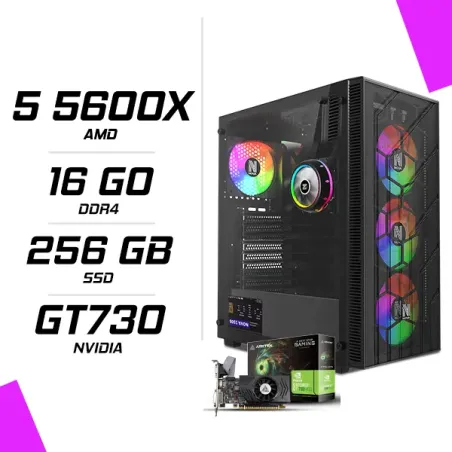 PC Gamer AMD Ryzen 5 5600X GT730 4GB