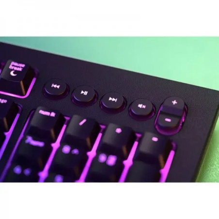 RAZER Cynosa V2