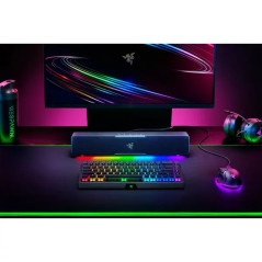 Razer Leviathan v2 X