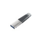 SANDISK IXPAND MINI FLASH DRIVE 64 GB