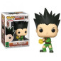 POP Animation: hunter x hunter gon freecs