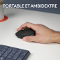 Logitech M171 Wireless Mouse Noir