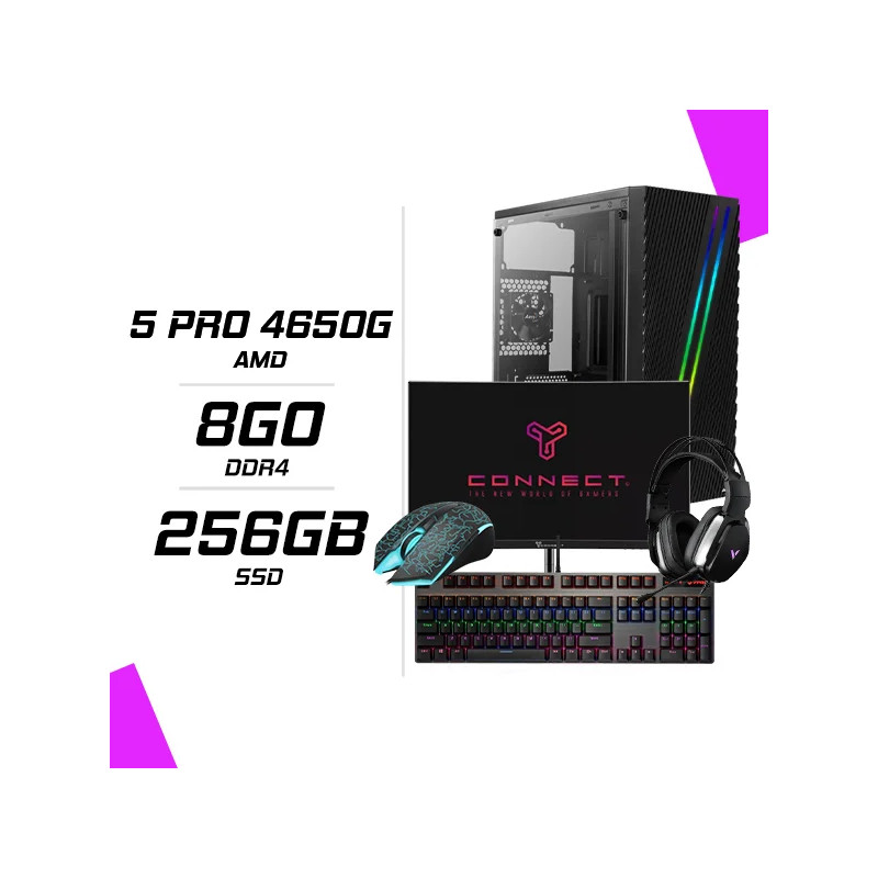 PC Gamer Ryzen 5 PRO 4650G + Ecran 24″ 180Hz+ combo Rapoo