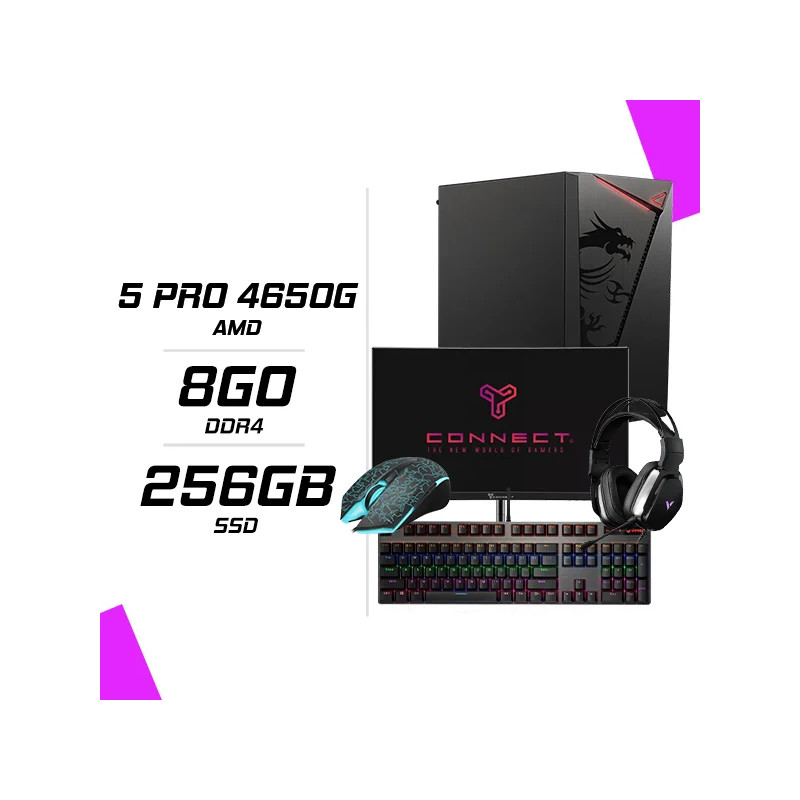 PC Gamer Ryzen 5 PRO 4650G + Ecran 24″ 180Hz+ combo Rapoo