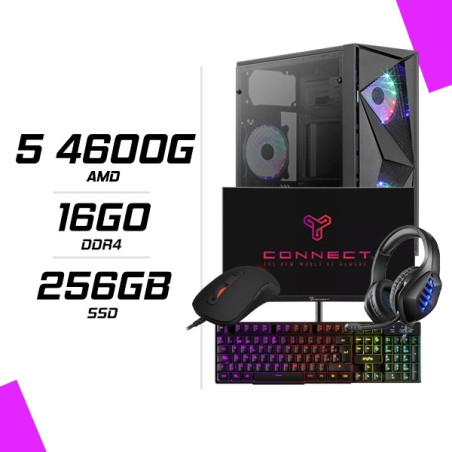 PC Gamer Ryzen 5 4600G + Ecran 24″ 180Hz+ combo