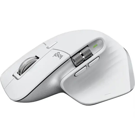 Logitech MX Master 3S Gris Pale