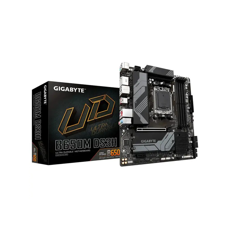 Gigabyte B650M DS3H