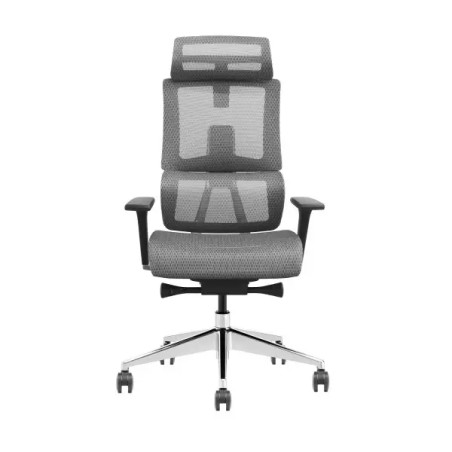 SKILLCHAIRS X6-BH-01 Gris