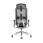 SKILLCHAIRS X6-BH-01 Gris