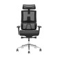 SKILLCHAIRS X6-BH-01 Noir