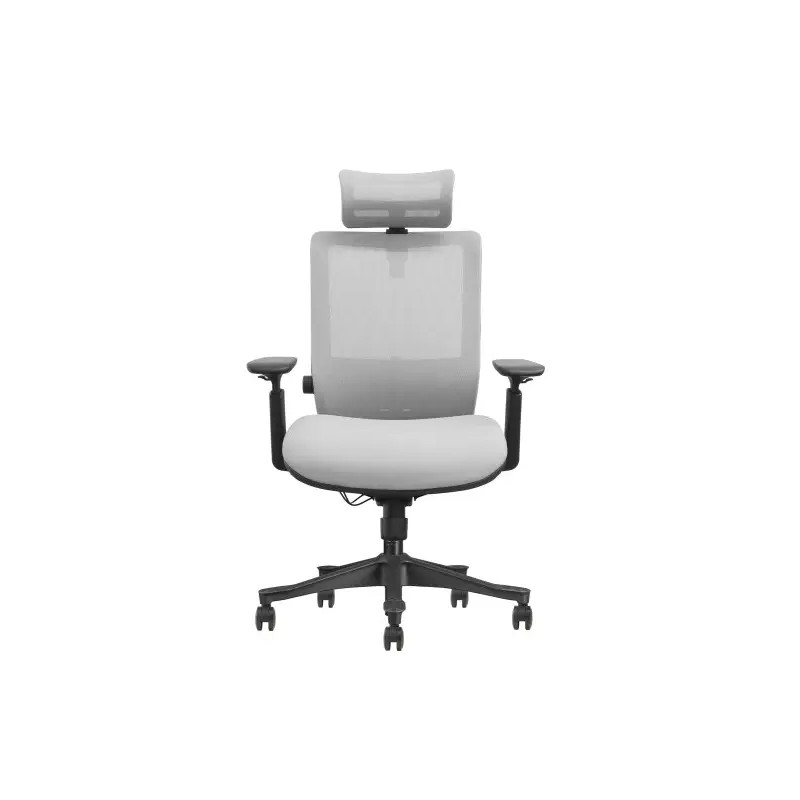 SKILLCHAIRS SM6F-BH Gris