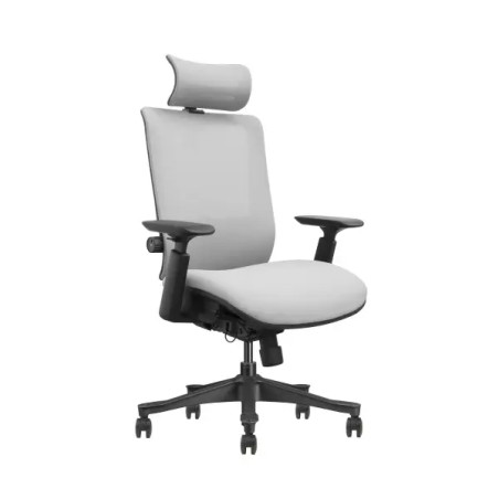 SKILLCHAIRS SM6F-BH Gris