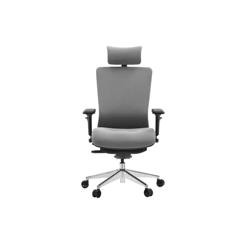 SKILLCHAIRS T-086A-F Gris