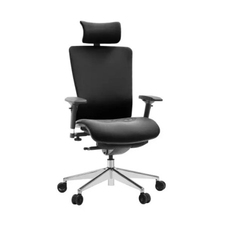 SKILLCHAIRS T-086A-F Noir