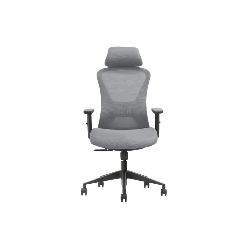 SKILLCHAIRS GK2-BH-12 Gris