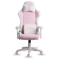 SKILLCHAIRS SC1 FAIRY