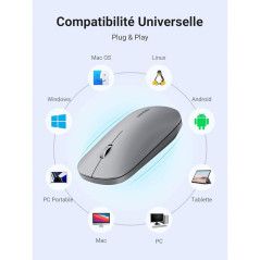 Ugreen Souris sans fil 2,4Ghz/10M GRIS Clair (90373)