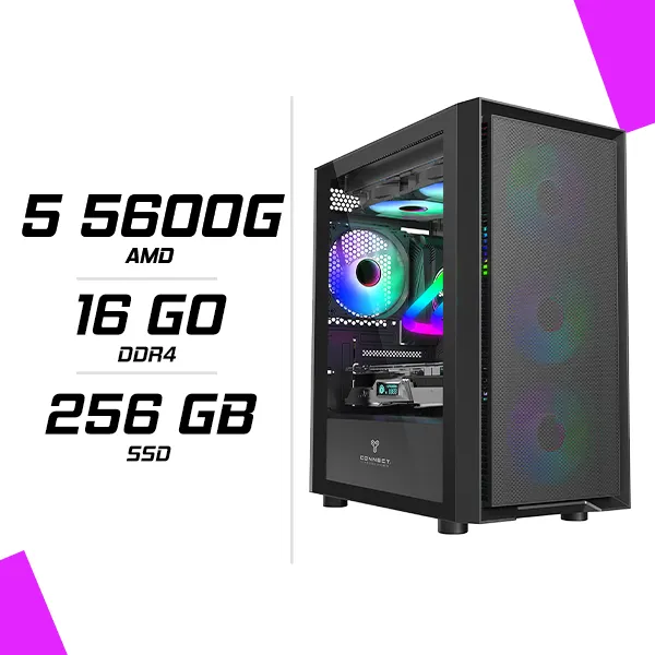 PC Gamer AMD Ryzen 5 5600G / 16GB DDR4 / 256GB SSD