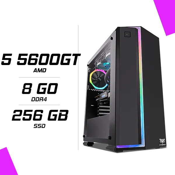 PC Gamer AMD RYZEN 5 5600GT