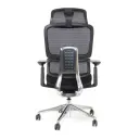 SKILLCHAIRS ERGO PERLA