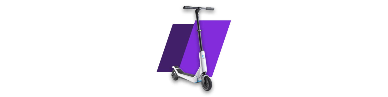 Trottinettes Électriques: Ninebot, Xiaomi & Plus | Nextlevelp